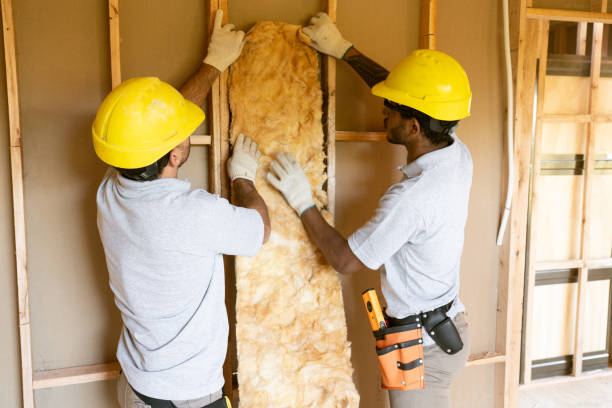 Professional Insulation Services in Oronogo, MO